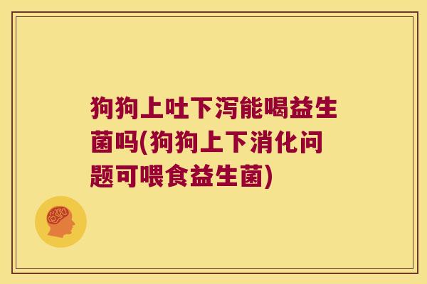 狗狗上吐下泻能喝益生菌吗(狗狗上下消化问题可喂食益生菌)