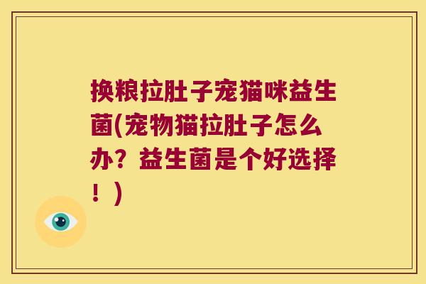 换粮拉肚子宠猫咪益生菌(宠物猫拉肚子怎么办?益生菌是个好选择!) 换粮拉肚子宠猫咪益生菌(宠物猫拉肚子怎么办?益生菌是个好选择!)