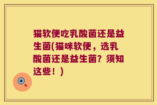 猫软便吃乳酸菌还是益生菌(猫咪软便，选乳酸菌还是益生菌？须知这些！)