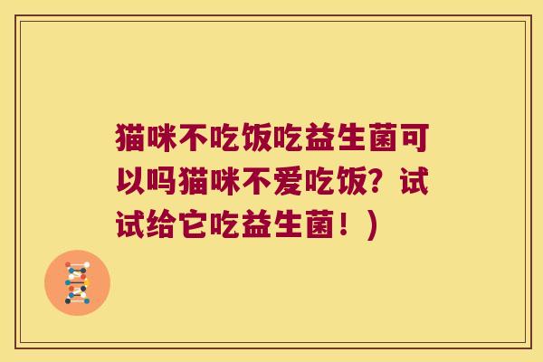猫咪不吃饭吃益生菌可以吗猫咪不爱吃饭？试试给它吃益生菌！)