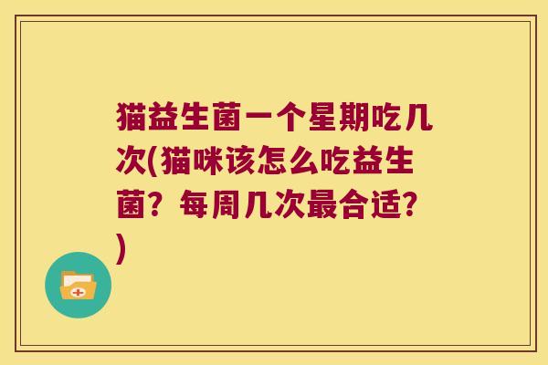 猫益生菌一个星期吃几次(猫咪该怎么吃益生菌？每周几次合适？)