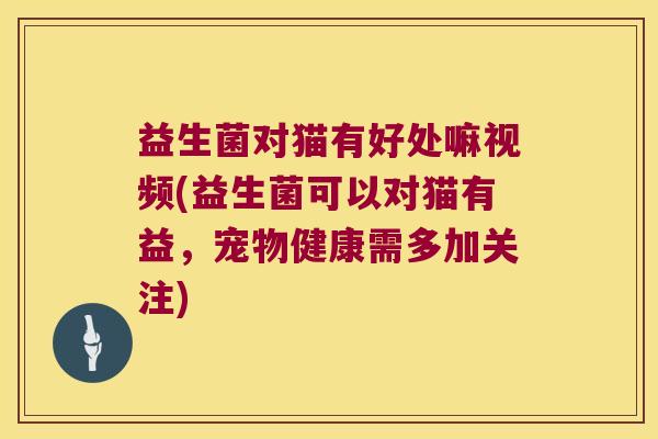 益生菌对猫有好处嘛视频(益生菌可以对猫有益，宠物健康需多加关注)