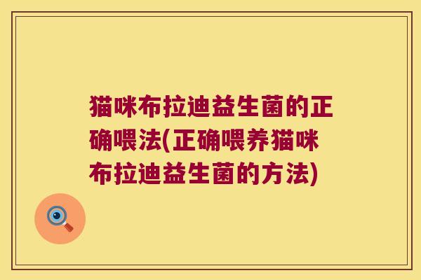 猫咪布拉迪益生菌的正确喂法(正确喂养猫咪布拉迪益生菌的方法)
