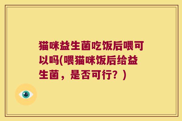 猫咪益生菌吃饭后喂可以吗(喂猫咪饭后给益生菌，是否可行？)