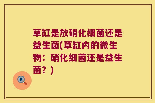 草缸是放硝化细菌还是益生菌(草缸内的微生物：硝化细菌还是益生菌？)