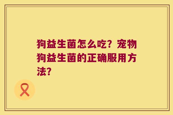 狗益生菌怎么吃？宠物狗益生菌的正确服用方法？