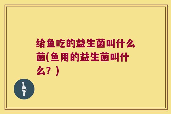 给鱼吃的益生菌叫什么菌(鱼用的益生菌叫什么？)