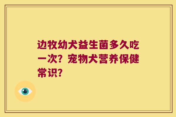 边牧幼犬益生菌多久吃一次？宠物犬营养保健常识？