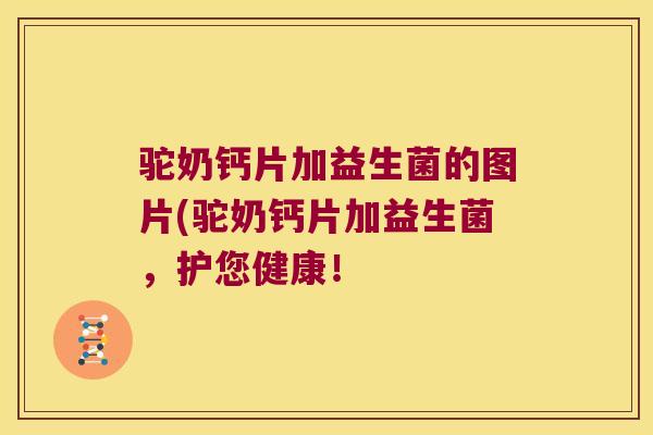 驼奶钙片加益生菌的图片(驼奶钙片加益生菌，护您健康！