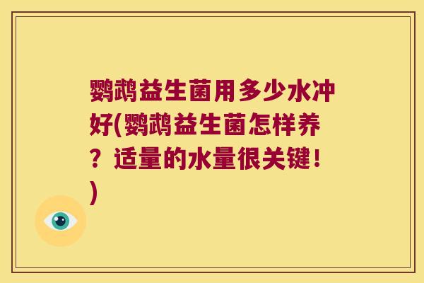 鹦鹉益生菌用多少水冲好(鹦鹉益生菌怎样养？适量的水量很关键！)