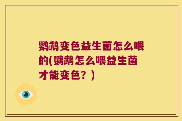 鹦鹉变色益生菌怎么喂的(鹦鹉怎么喂益生菌才能变色？)