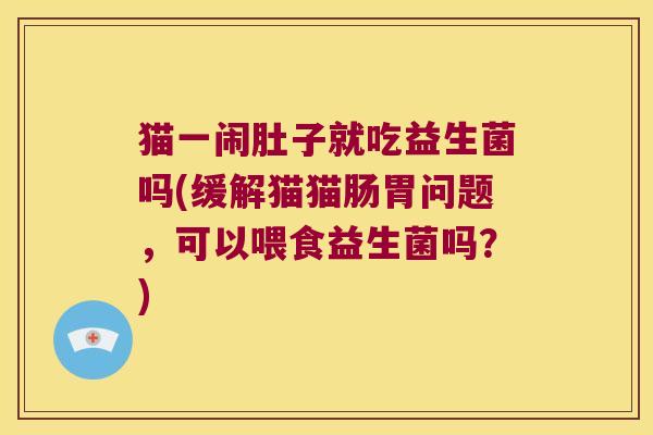 猫一闹肚子就吃益生菌吗(缓解猫猫肠胃问题，可以喂食益生菌吗？)
