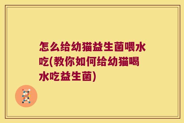怎么给幼猫益生菌喂水吃(教你如何给幼猫喝水吃益生菌)