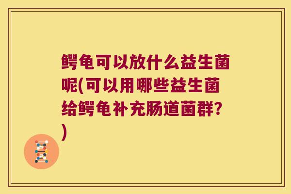 鳄龟可以放什么益生菌呢(可以用哪些益生菌给鳄龟补充肠道菌群？)