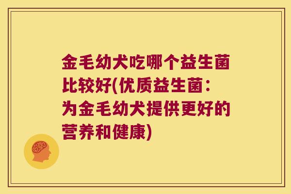 金毛幼犬吃哪个益生菌比较好(优质益生菌：为金毛幼犬提供更好的营养和健康)