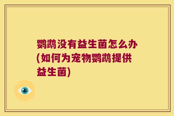 鹦鹉没有益生菌怎么办(如何为宠物鹦鹉提供益生菌)