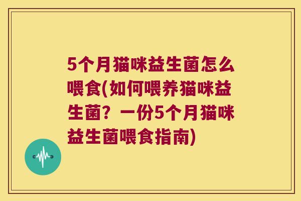 5个月猫咪益生菌怎么喂食(如何喂养猫咪益生菌？一份5个月猫咪益生菌喂食指南)