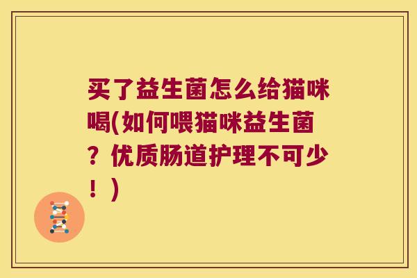买了益生菌怎么给猫咪喝(如何喂猫咪益生菌？优质肠道护理不可少！)