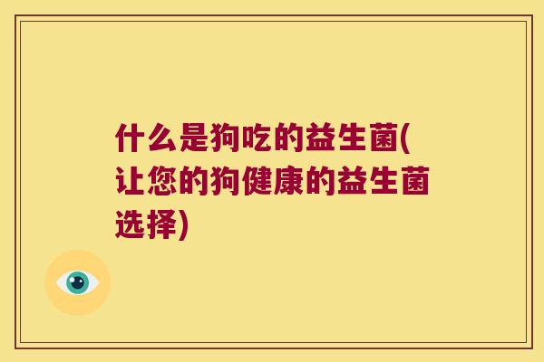 什么是狗吃的益生菌(让您的狗健康的益生菌选择)