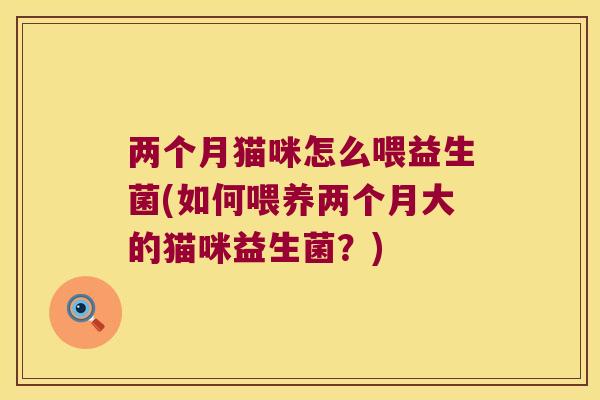 两个月猫咪怎么喂益生菌(如何喂养两个月大的猫咪益生菌?) 两个月猫咪怎么喂益生菌(如何喂养两个月大的猫咪益生菌?)