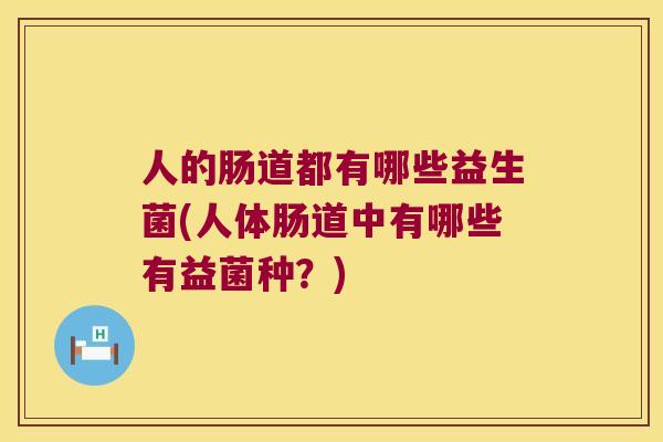 人的肠道都有哪些益生菌(人体肠道中有哪些有益菌种？)