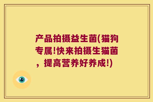 产品拍摄益生菌(猫狗专属!快来拍摄生猫菌，提高营养好养成!)
