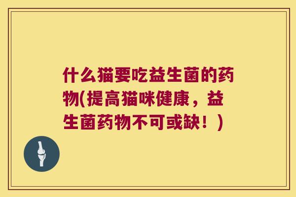 什么猫要吃益生菌的药物(提高猫咪健康，益生菌药物不可或缺！)