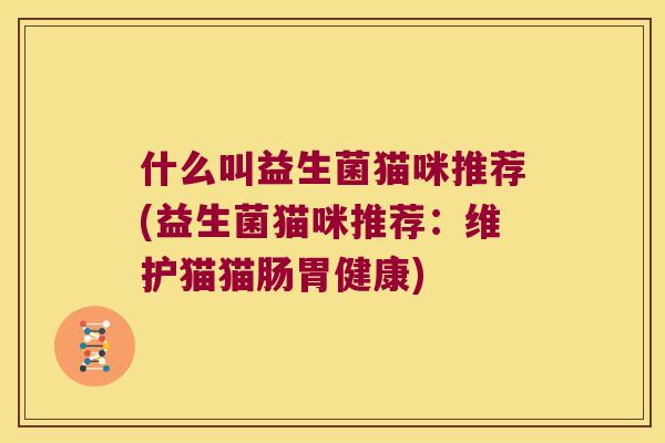什么叫益生菌猫咪推荐(益生菌猫咪推荐:维护猫猫肠胃健康) 什么叫益生菌猫咪推荐(益生菌猫咪推荐:维护猫猫肠胃健康)