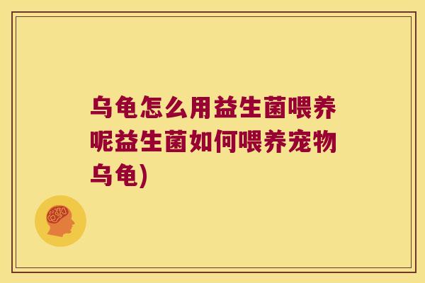 乌龟怎么用益生菌喂养呢益生菌如何喂养宠物乌龟)