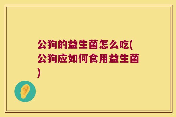 公狗的益生菌怎么吃(公狗应如何食用益生菌)
