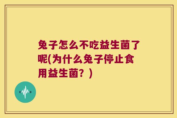 兔子怎么不吃益生菌了呢(为什么兔子停止食用益生菌?) 兔子怎么不吃益生菌了呢(为什么兔子停止食用益生菌?)