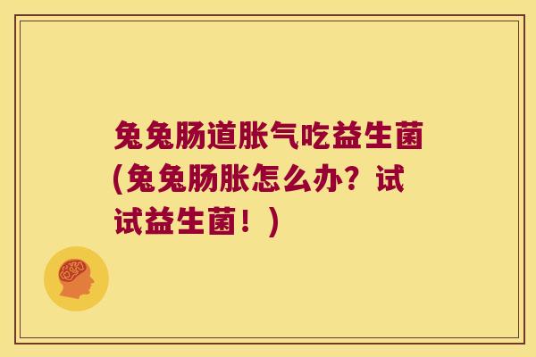 兔兔肠道胀气吃益生菌(兔兔肠胀怎么办？试试益生菌！)