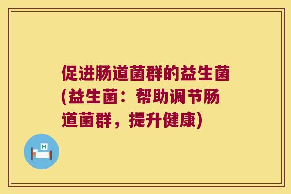 促进肠道菌群的益生菌(益生菌：帮助调节肠道菌群，提升健康)