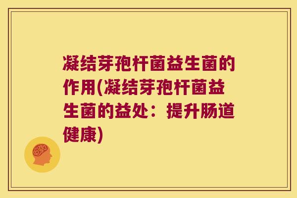 凝结芽孢杆菌益生菌的作用(凝结芽孢杆菌益生菌的益处：提升肠道健康)