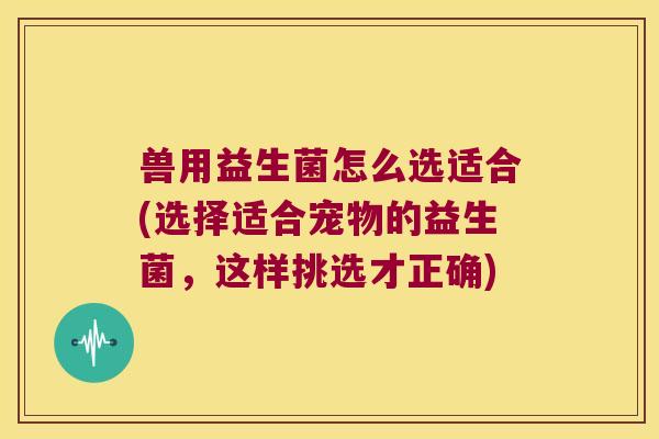 兽用益生菌怎么选适合(选择适合宠物的益生菌，这样挑选才正确)