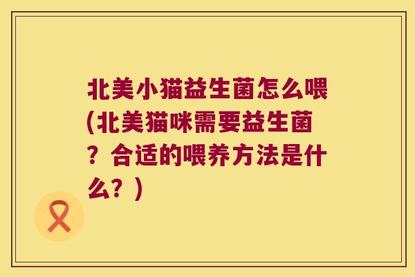 北美小猫益生菌怎么喂(北美猫咪需要益生菌？合适的喂养方法是什么？)