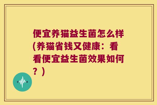 便宜养猫益生菌怎么样(养猫省钱又健康：看看便宜益生菌效果如何？)