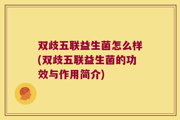 双歧五联益生菌怎么样(双歧五联益生菌的功效与作用简介)