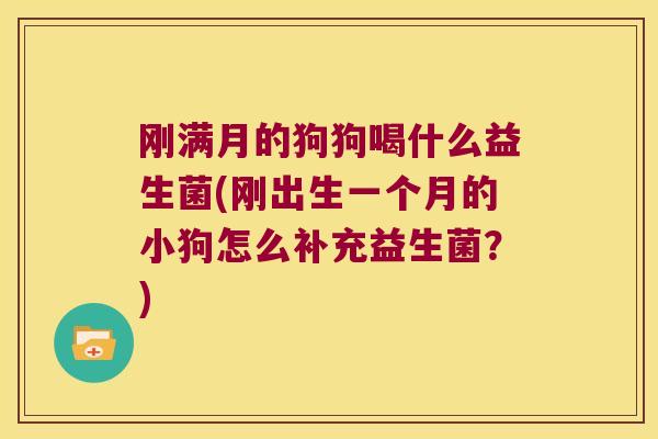 刚满月的狗狗喝什么益生菌(刚出生一个月的小狗怎么补充益生菌？)