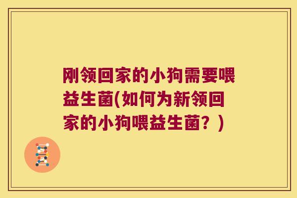 刚领回家的小狗需要喂益生菌(如何为新领回家的小狗喂益生菌？)