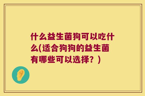 什么益生菌狗可以吃什么(适合狗狗的益生菌有哪些可以选择？)