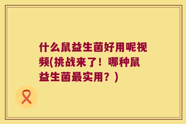 什么鼠益生菌好用呢视频(挑战来了！哪种鼠益生菌最实用？)