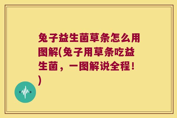 兔子益生菌草条怎么用图解(兔子用草条吃益生菌，一图解说全程！)