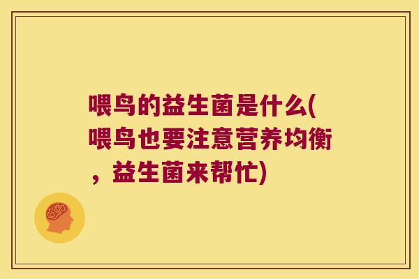 喂鸟的益生菌是什么(喂鸟也要注意营养均衡，益生菌来帮忙)