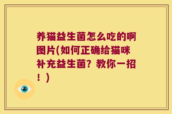养猫益生菌怎么吃的啊图片(如何正确给猫咪补充益生菌？教你一招！)