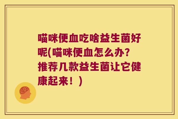喵咪便血吃啥益生菌好呢(喵咪便血怎么办？推荐几款益生菌让它健康起来！)