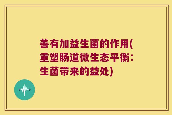 善有加益生菌的作用(重塑肠道微生态平衡：生菌带来的益处)