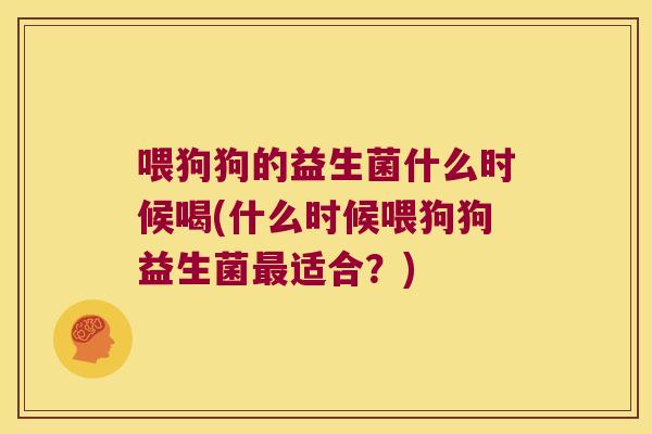 喂狗狗的益生菌什么时候喝(什么时候喂狗狗益生菌最适合？)