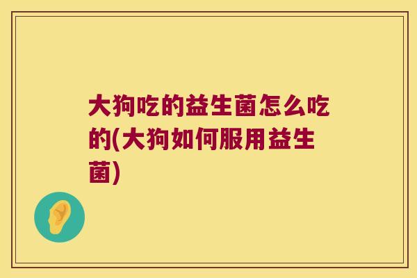 大狗吃的益生菌怎么吃的(大狗如何服用益生菌)