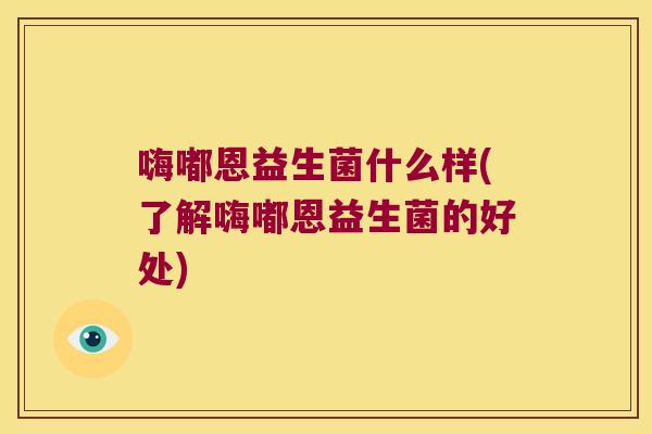 嗨嘟恩益生菌什么样(了解嗨嘟恩益生菌的好处)